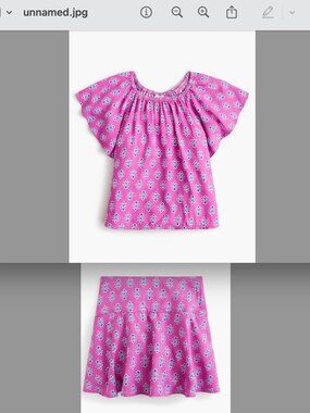 J. Crew Girls' block-print skort and flutter top festive pink grotto 4-5T Set
